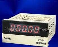 上海卓一正品 累時器/計時器 ZYL06(DHC6J-L)_儀器儀表_世界工廠網(wǎng)中國產(chǎn)品信息庫